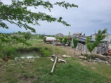 binəqədi həyət evləri: 26000 sot, Kənd təsərrüfatı, Kupça (Çıxarış) — 4