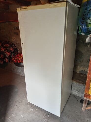 gəncədə soyuducu: Soyuducu, üst hissədə əl ilə açılan kiçik dondurucu kamerası olan — 3