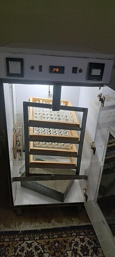 Azərbaycan, Tam avtomat — 2