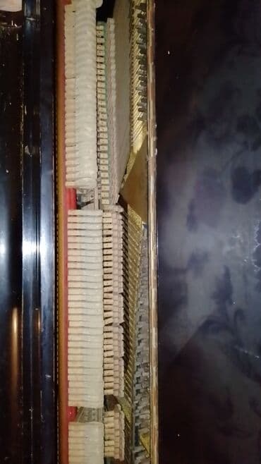 пианино ronisch цена: Пианино, Акустический — 3