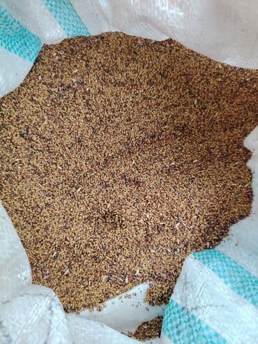 Yonca toxumu 6illik wacapda əlaqa saxlaya bilərsiniz lalafo.az -da Yonca toxumu 6illik wacapda əlaqa saxlaya bilərsiniz