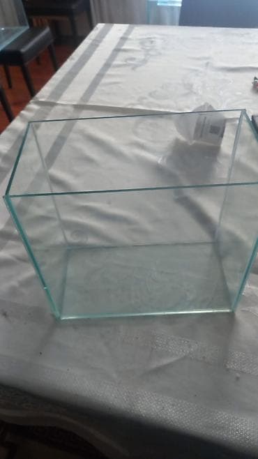 Şüşə akvarium dəsti - Şəffaf, düz kənarlı şüşədən hazırlanmış lalafo.az -da Şüşə akvarium dəsti - Şəffaf, düz kənarlı şüşədən hazırlanmış