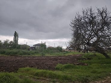 ləhiş bağları torpaq satılır: 10 sot, Biznes üçün, Mülkiyyətçi, Kupça (Çıxarış) — 10