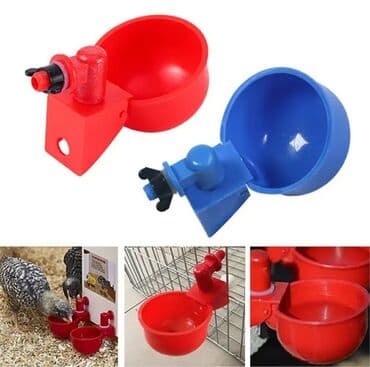 pişik su qabı: Yem qabı, Su üçün, Quşlar üçün, Rayonlara çatdırılma, Ünvandan götürmə, Ödənişli çatdırılma — 5