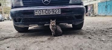 reno avtomobili: Barterde edrem satramMercedes-Benz Vito (W638) mikroavtobus - Kuzov — 4