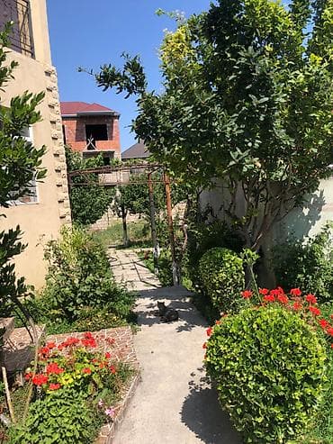 Həyət evləri və villalar: NZS 6 otaqlı, 250 kv. m, Yeni təmirli — 8