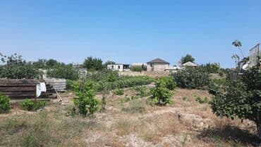 elşən süleymanov küçəsi: 12 sot, Kupça (Çıxarış) — 4