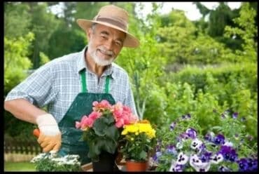 горящие туры в турцию все включено: Bağ və ya həyət üçün peşəkar bağbanlıq xidmətləri - Çəmən biçimi — 1