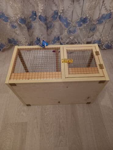 evren cuce yemi: Her ölçüye uygun qefesler yigilir razmere göre qiymet deyişir — 4