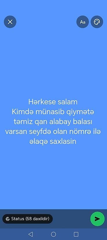 it almaq isteyirem: Alabay, 1 ay, Erkek — 1