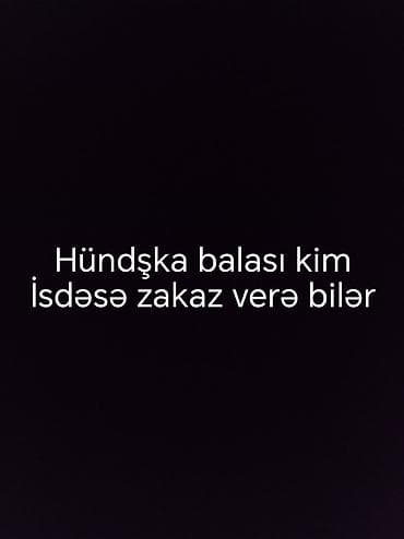 hindus: Məhsul: Hündüşkə balası (xirtdəkdən yeni çıxmış və ya böyütmə üçün — 1