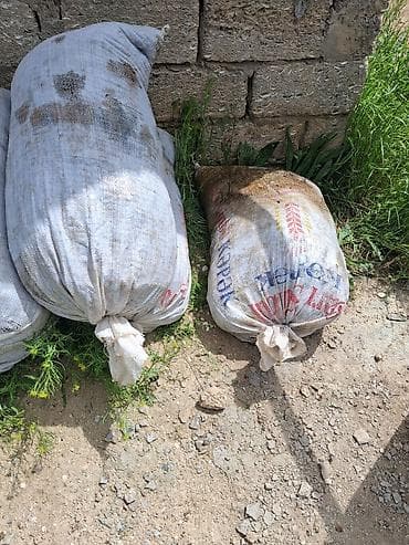 torpaq peyin: Gubre istiyenler ücün ideal peyin inek peyinidir coxdanın peyinidir — 3