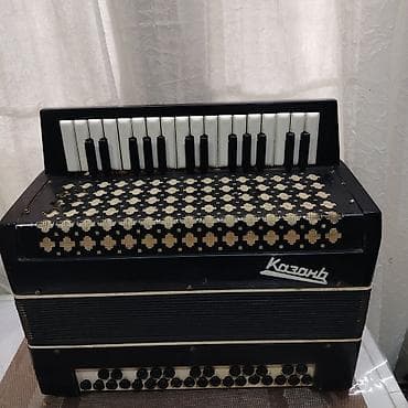 akkordeon: Akustik Akkordeon — 2