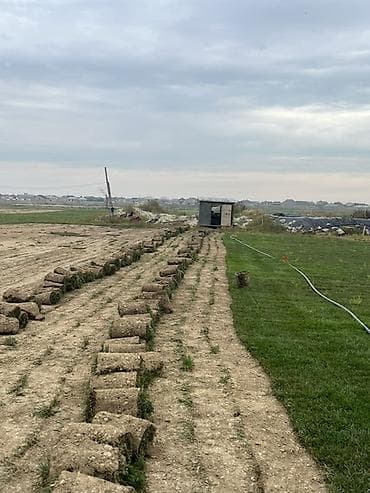 cay cau: Canlı rulon qazon cidi alıcı narat elesin boş boş şeye yığmıyın — 2