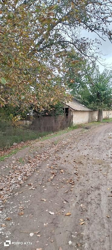 şaftali bagi: 19 sot, Kənd təsərrüfatı, Mülkiyyətçi, Kupça (Çıxarış) — 5