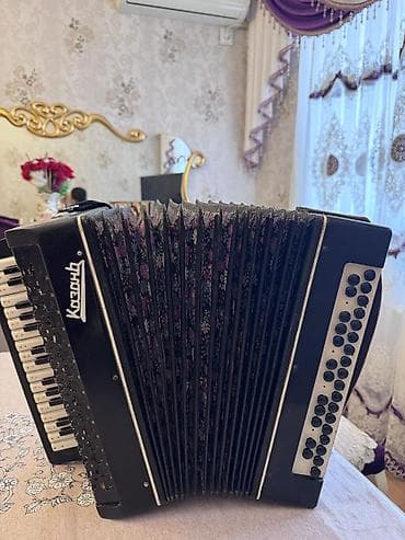 Fleytalar: Akustik Akkordeon, Yeni — 4