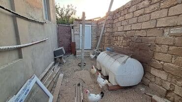 7 ve 8 mkr satilan evler: 3 otaq 1 zal. giriş kalidor, ve hamam tualet . heyetdede ayrica tualet — 17