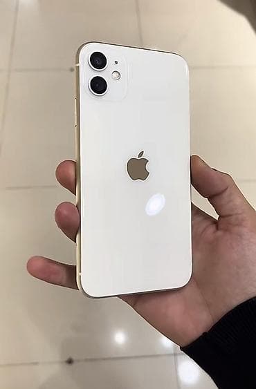 IPhone 11, Ağ