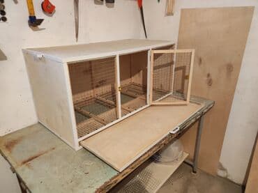 quş qəfəs: Papuqay,dovşan,hamster,şinşila,bildirçin,cücə,xamyak,pişik,quş,tısbağa — 4