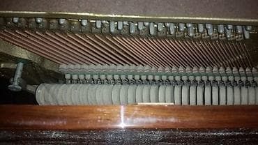 TV və video: Məhsulların təsviri: 1) Taxta kofe/jurnal masası - Material: massiv — 5