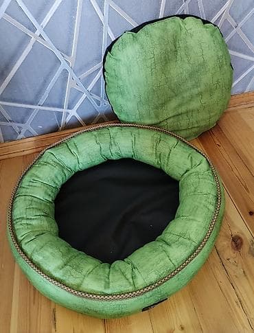 pitbul satilir: Bizim itimizə balaca olduğu üçün satılır — 3