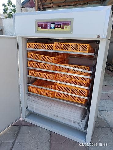 Сельско-хозяйственное оборудование: 1156 yumurtali inqubator. Avtomatik çevirme temperatur. Təzədir — 2