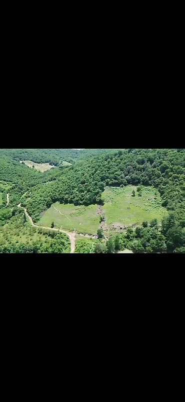 124 sot, Kupça (Çıxarış) — 7