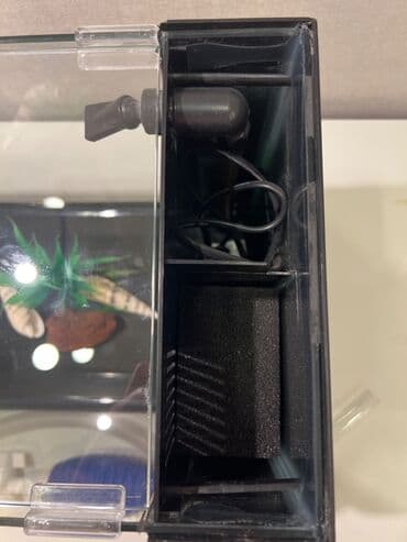 akvariyum baliqlari: Dördbucaq akvarium, Boş, 10 l, Ünvandan götürmə — 3