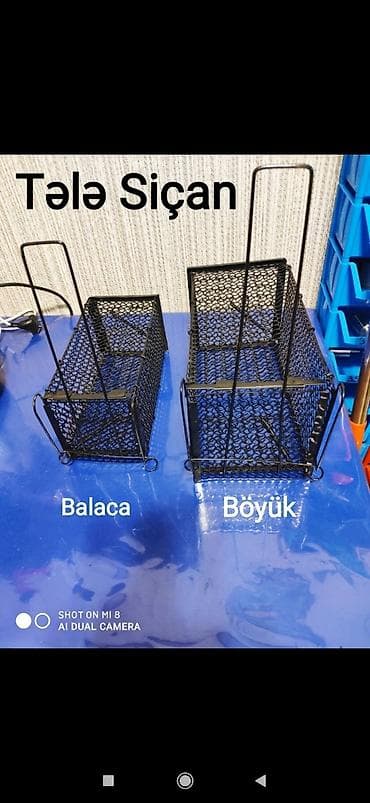 Teleler krisa siçan tutmaq üçün topdan satış