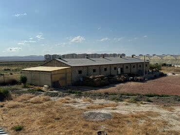 Lexus: 30 sot, Kənd təsərrüfatı — 1