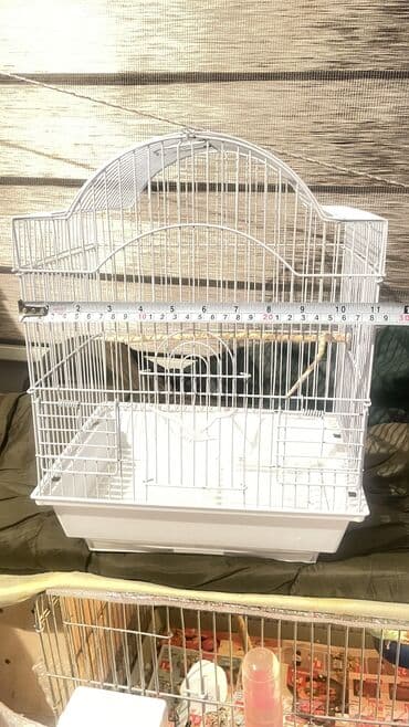 heyvan bazarı tap az: Qefesler 1 ededi 8 azn — 1