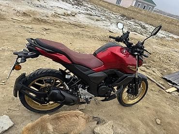 Yamaha - FZ-S lalafo.az -da Yamaha - FZ-S