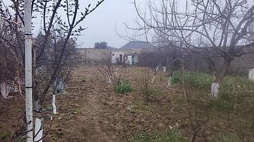 şeki: 7 sot, Mülkiyyətçi, Kupça (Çıxarış) — 9