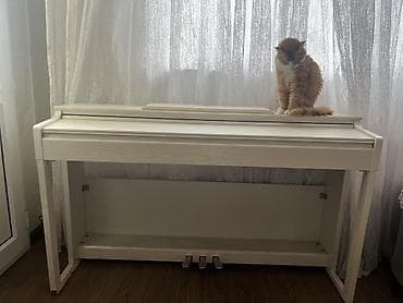 Piano, Rəqəmsal, İşlənmiş — 1