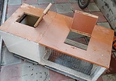 pisik ucun bit dermani: Heyvan qəfəsi – taxta və metal tor kombinasiyalı - Ölçü: təxmini — 2