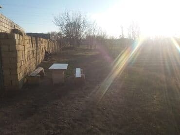 аренда и продажа недвижимости: 13 соток, Для сельского хозяйства, Собственник, Договор — 6