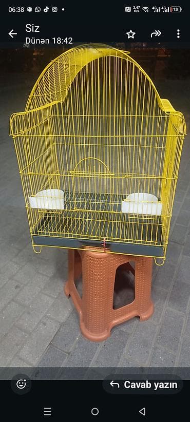 Gəmiricilər: Karella Tutuquşu Hazır cütdü 5 gündü yumurtaya düşüb, Tək halda hərəsi — 7