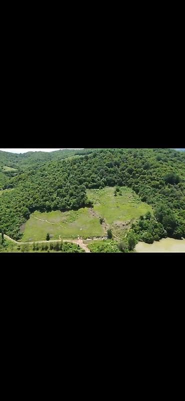 124 sot, Kupça (Çıxarış)