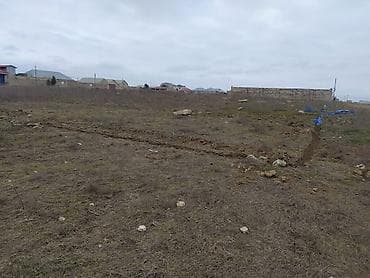 Makler, Kupça (Çıxarış) lalafo.az -da Makler, Kupça (Çıxarış)