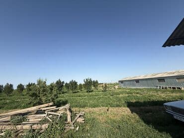 türkanda bağ evi satılır: Gəncə, 1500 kv. m, 1 otaqlı, Hovuzlu, Artezian quyusu, Su, İşıq — 5