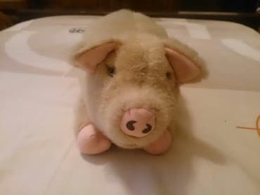 мягкая игрушка: Символ 2019 года, мягкая игрушка поросенок — 3