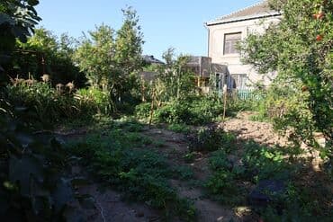 qutqaşınlı küçəsi: 6 otaqlı, 300 kv. m, Orta təmir — 11