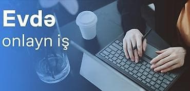 elani: Evdən onlayn iş imkanları gun ərzində minimum 50-100 dollar qazana — 1