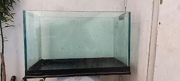 Akvaryum – ölçülər -- uzunluq 35 sm / eni 16 sm / hündürlük 22 sm/