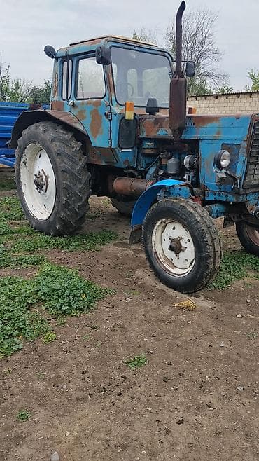 lovol 504 b: Traktor Belarus (MTZ) 80, 1984 il, 80 at gücü, motor 2.4 l, Yeni — 2