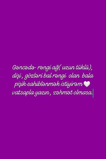 sari pisik: Dişi, Yaxşı əllərə — 1