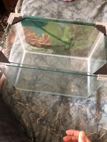 Akvariumlar: Şüşə akvarium - Material: şəffaf qalın şüşə, düz kənarlı konstruksiya — 3