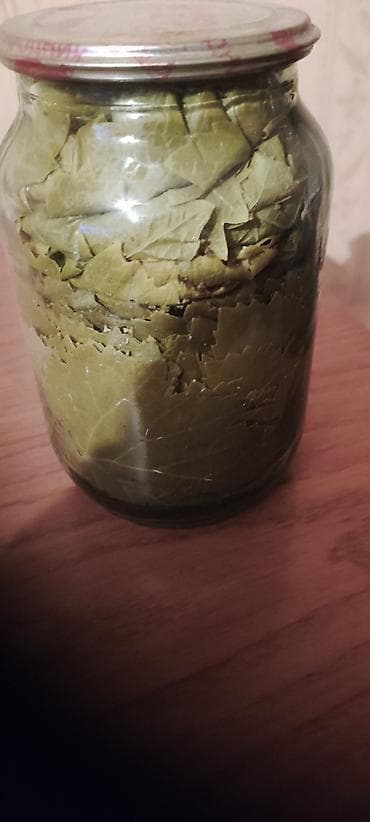 gurcu xengeli sumqayit: Təmiz may yaroagı . Bakı baglarının yarpagıdır. cox alana endirim — 1