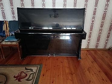 Upright piano – “Украина” modeli - Rəng: qara, parlaq korpus - Tip