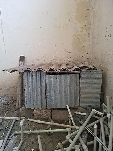 Göyərçinlər: Göyercin evi — 3